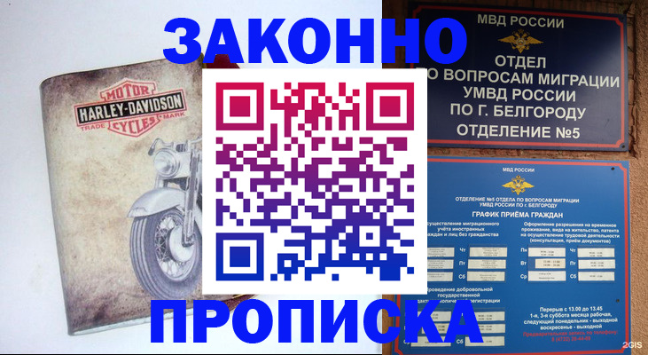 прописка для школы в Юрьев-Польском